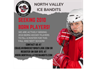 Looking for 2010 born players for this fall and next year!